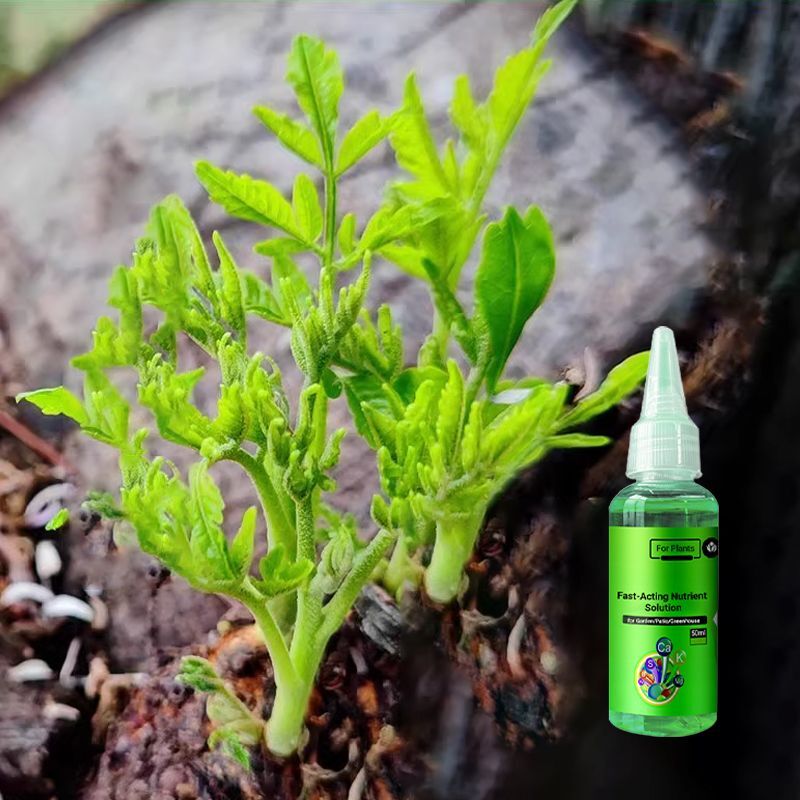 1+1 Free | Plant Nutrient Solution