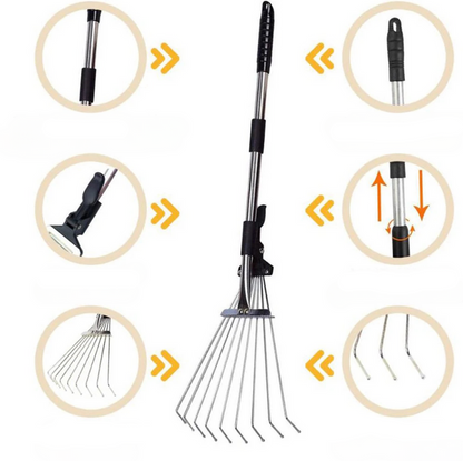 Tidy Lawn Essential