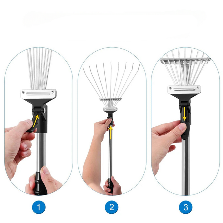 Tidy Lawn Essential